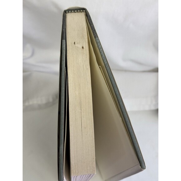 Orphans of the Living: Stories of America's Children in Foster Care By Roth, J - Picture 4 of 6